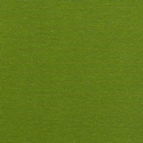 Bündchen GOTS | Grasgrün